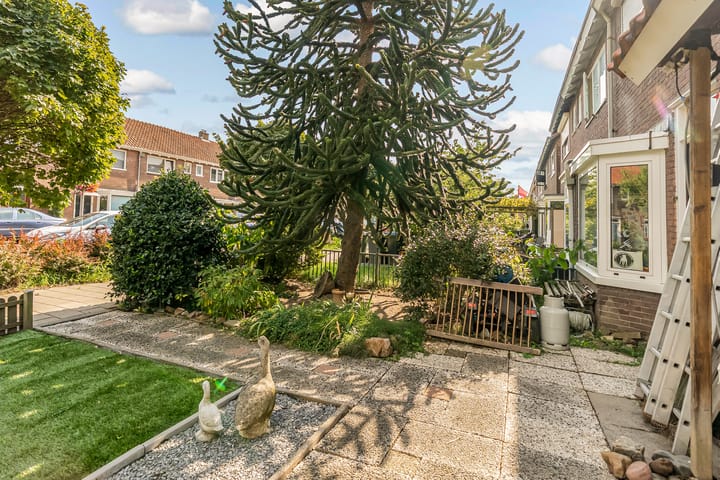 Foto 6 van Forelstraat 14