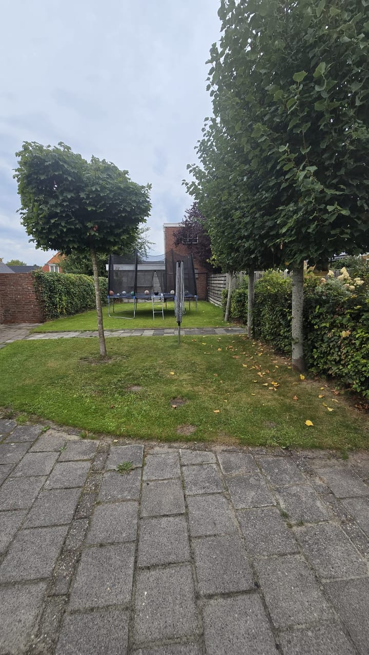 Photo 39 of Torenstraat 23