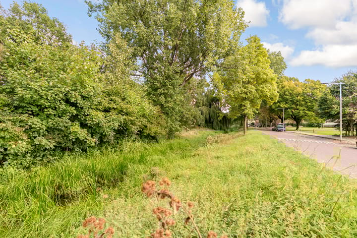 Foto 36 van Forelstraat 14