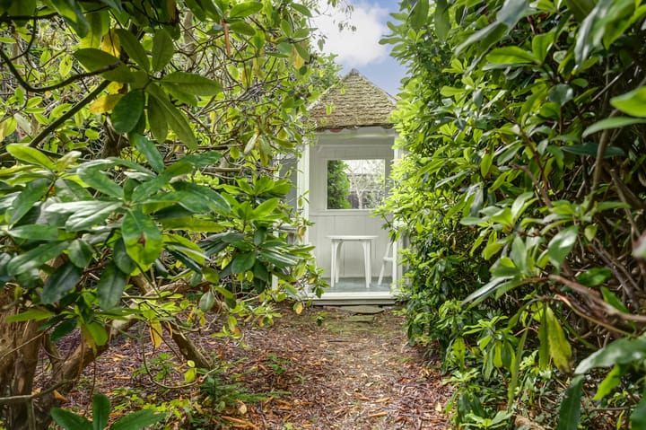 Photo 5 of Van Reenenpark 5