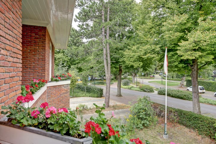 Photo 36 of Van Reenenpark 5