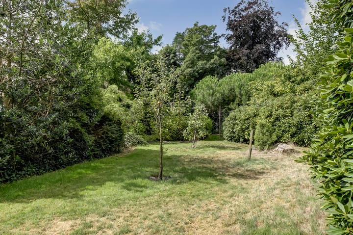 Photo 65 of Van Reenenpark 5