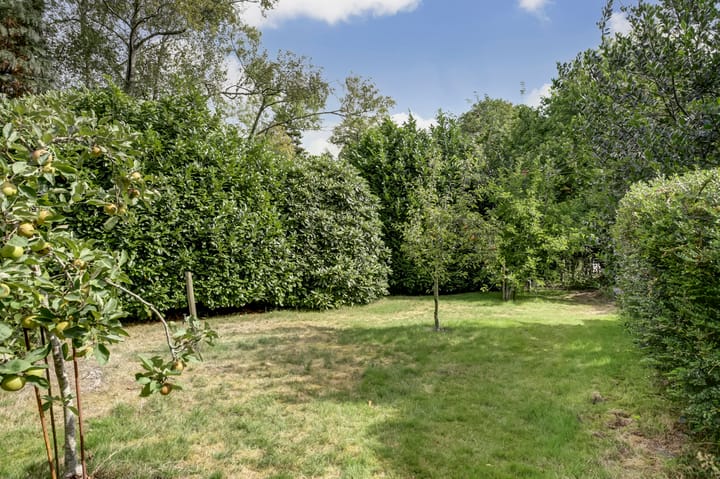 Photo 66 of Van Reenenpark 5