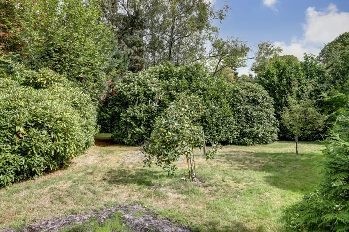 Photo 67 of Van Reenenpark 5