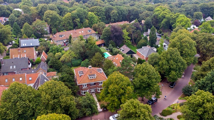 Photo 70 of Van Reenenpark 5