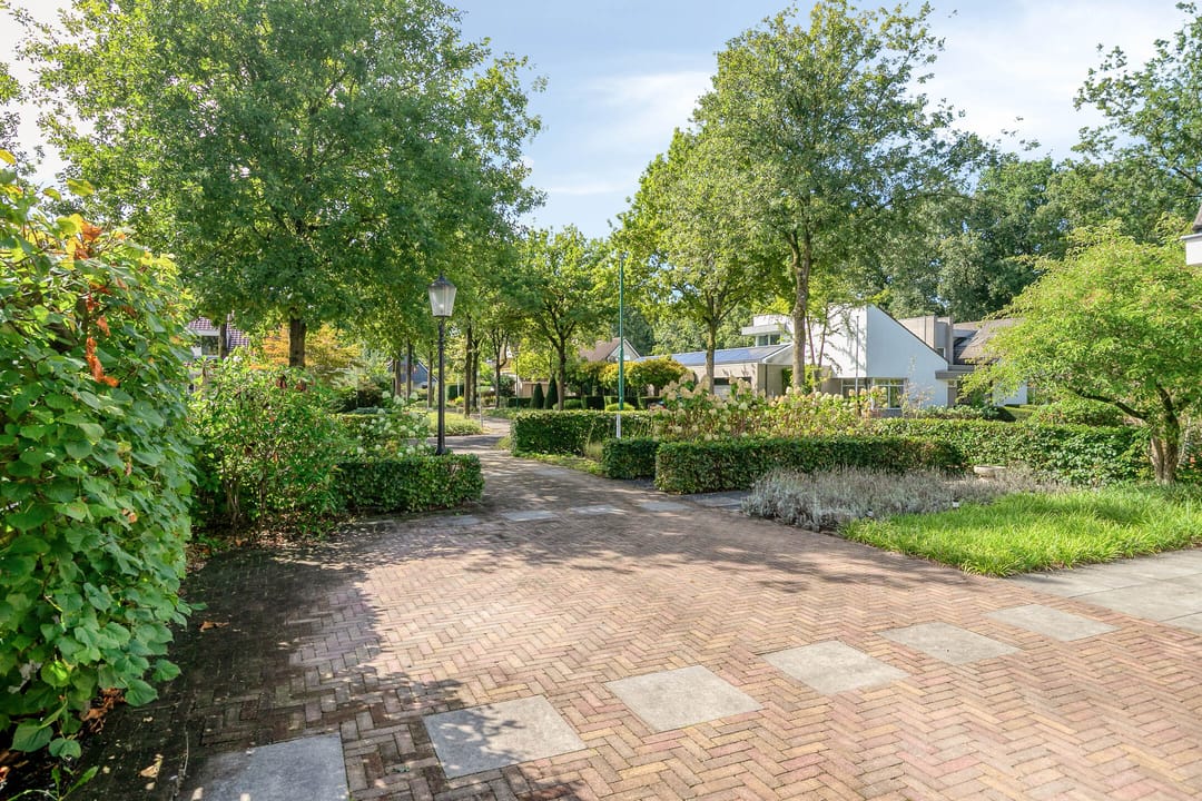 Photo 2 of Petenbos 25