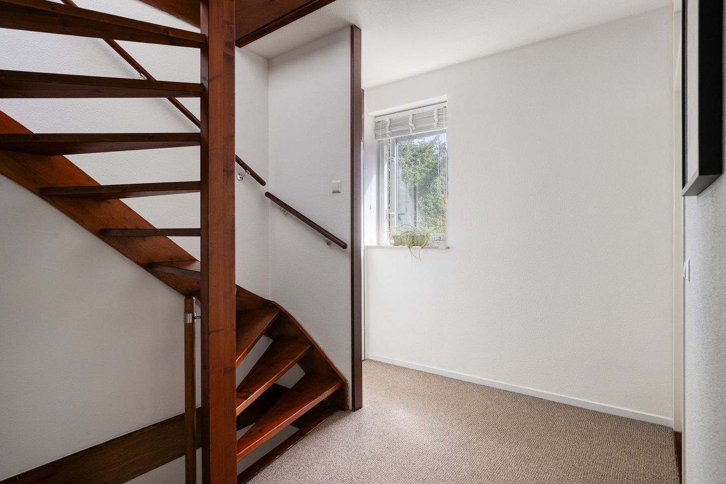 Photo 19 of Petenbos 25