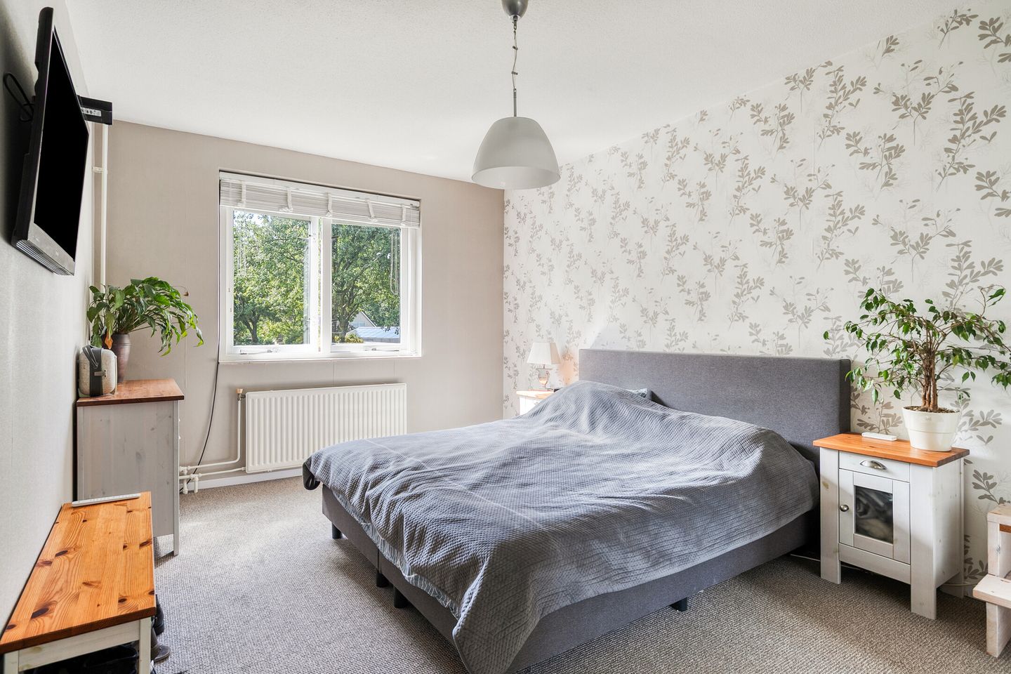 Photo 20 of Petenbos 25