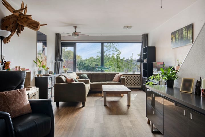 Foto 3 van Akkerdistel 15