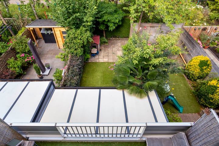 Foto 4 van Akkerdistel 15