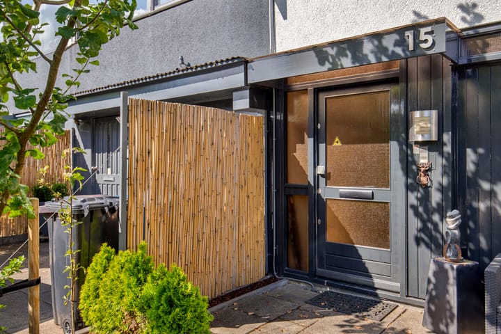 Foto 9 van Akkerdistel 15