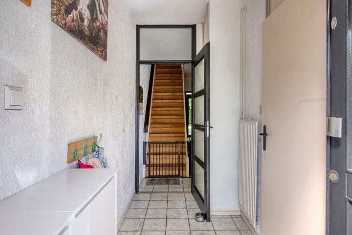 Foto 11 van Akkerdistel 15