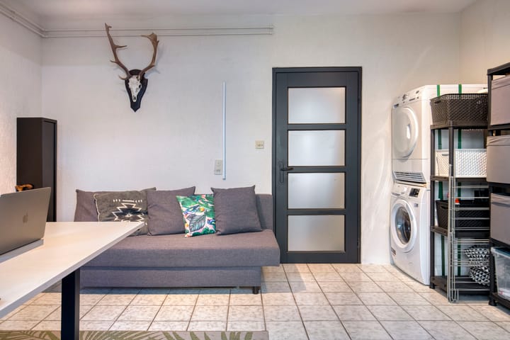 Foto 15 van Akkerdistel 15