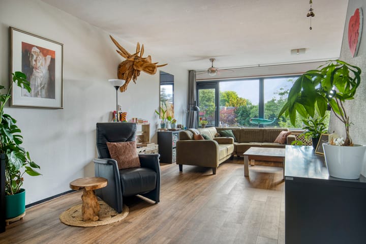 Foto 19 van Akkerdistel 15