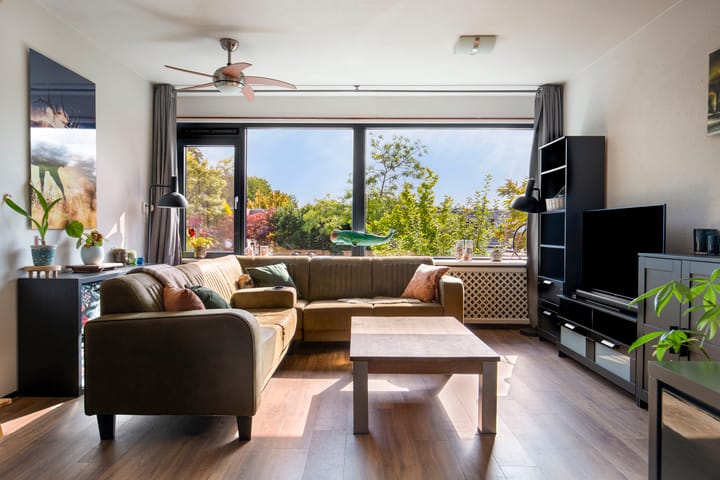 Foto 20 van Akkerdistel 15