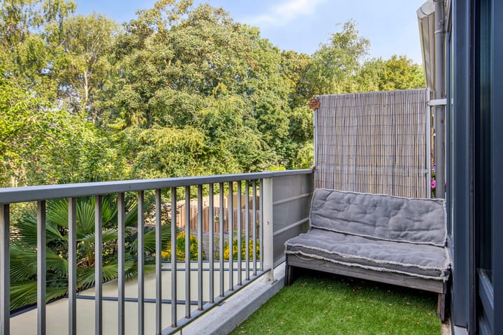 Foto 27 van Akkerdistel 15