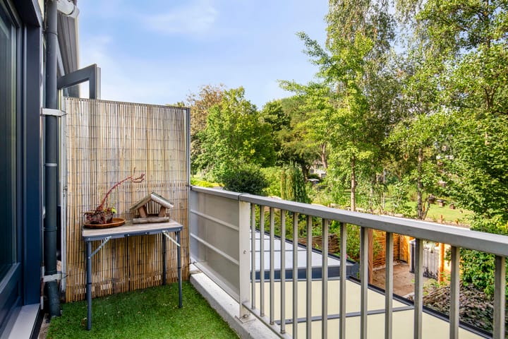 Foto 28 van Akkerdistel 15