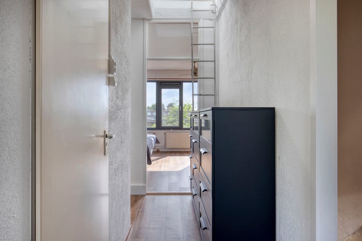 Foto 29 van Akkerdistel 15