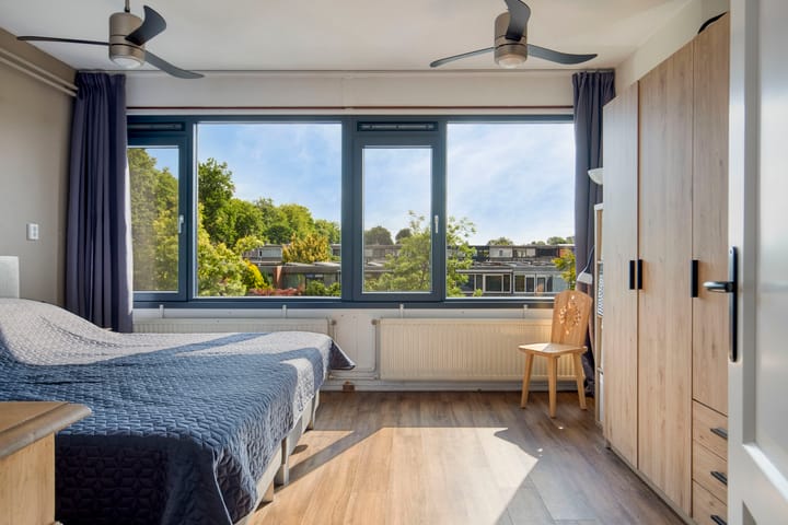 Foto 31 van Akkerdistel 15