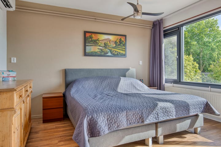 Foto 32 van Akkerdistel 15