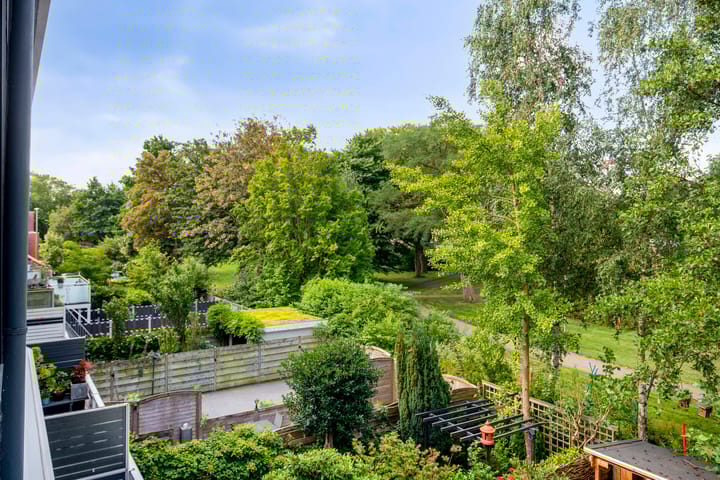 Foto 36 van Akkerdistel 15