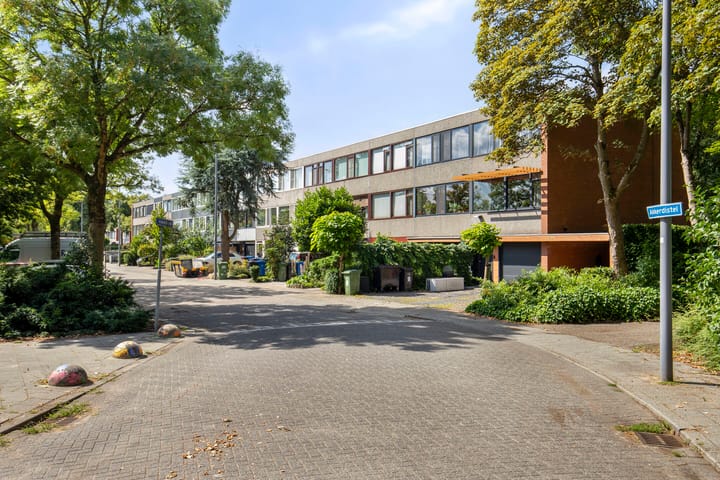 Foto 40 van Akkerdistel 15