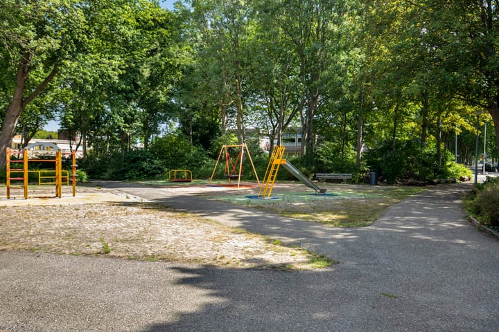 Foto 41 van Akkerdistel 15