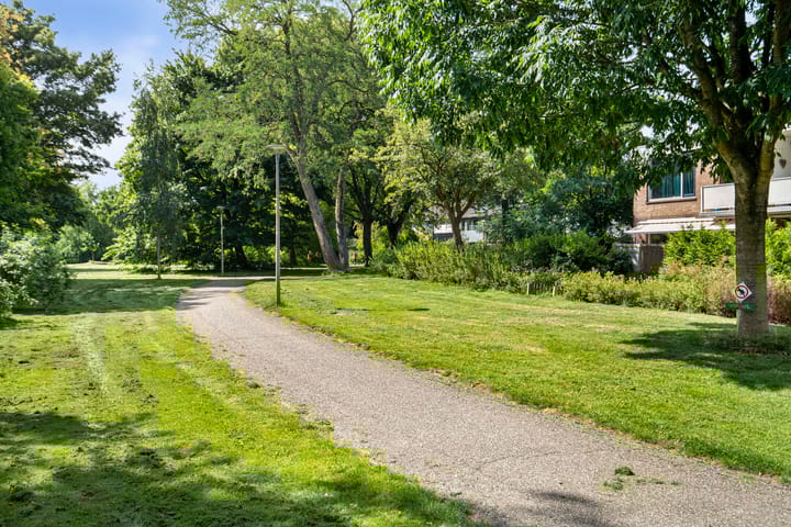 Foto 42 van Akkerdistel 15