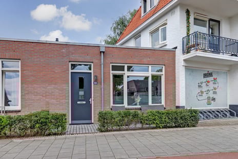 undefined main image