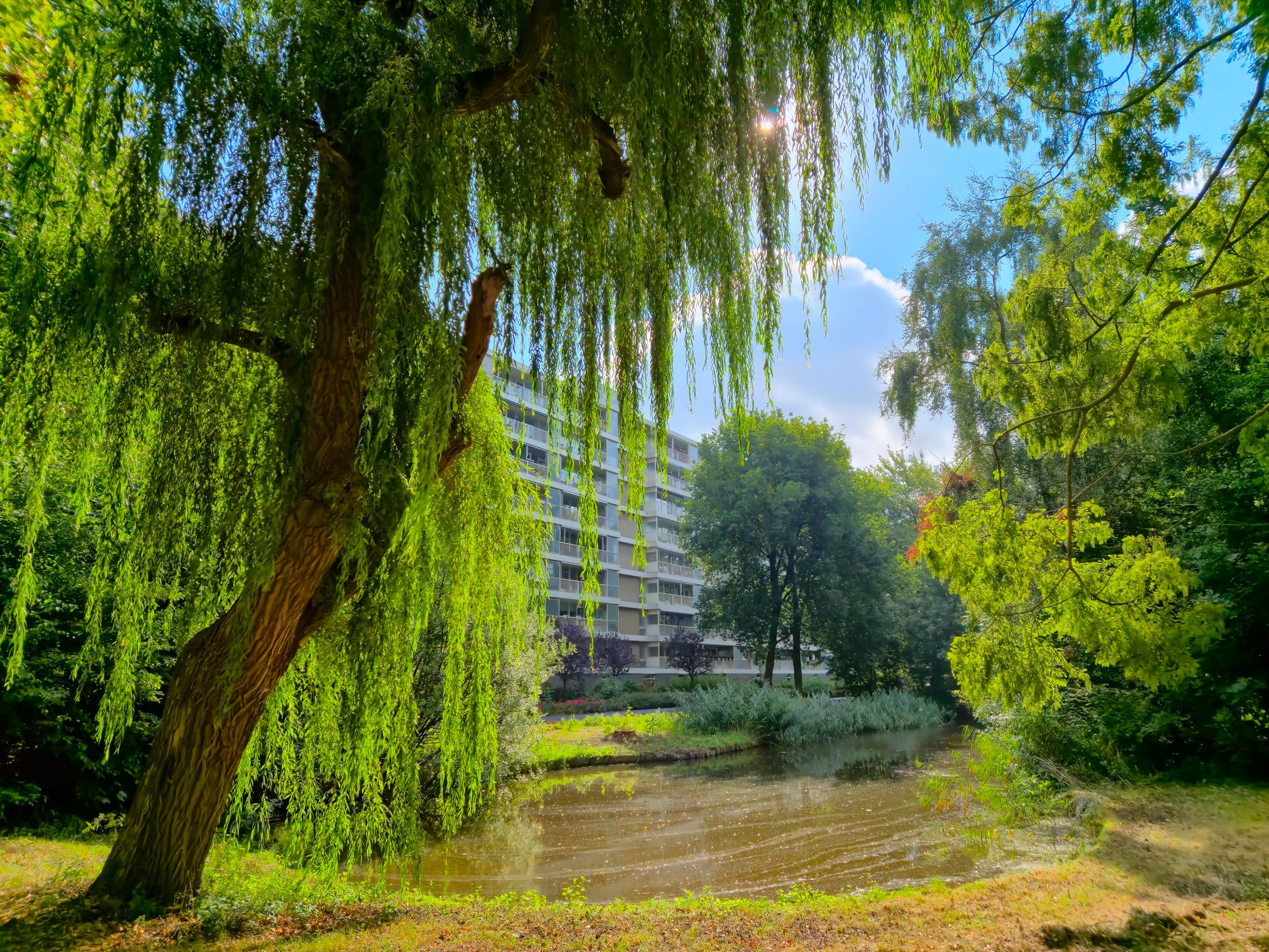 Foto 24 van Anatole Franceplaats 434