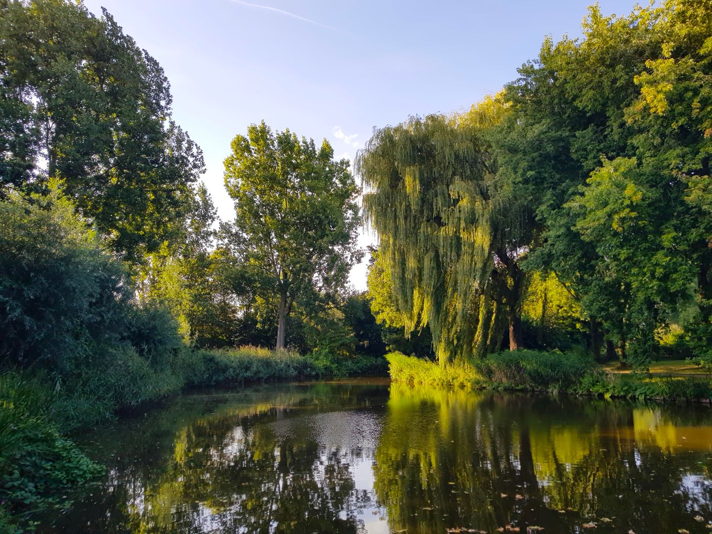 Foto 25 van Anatole Franceplaats 434