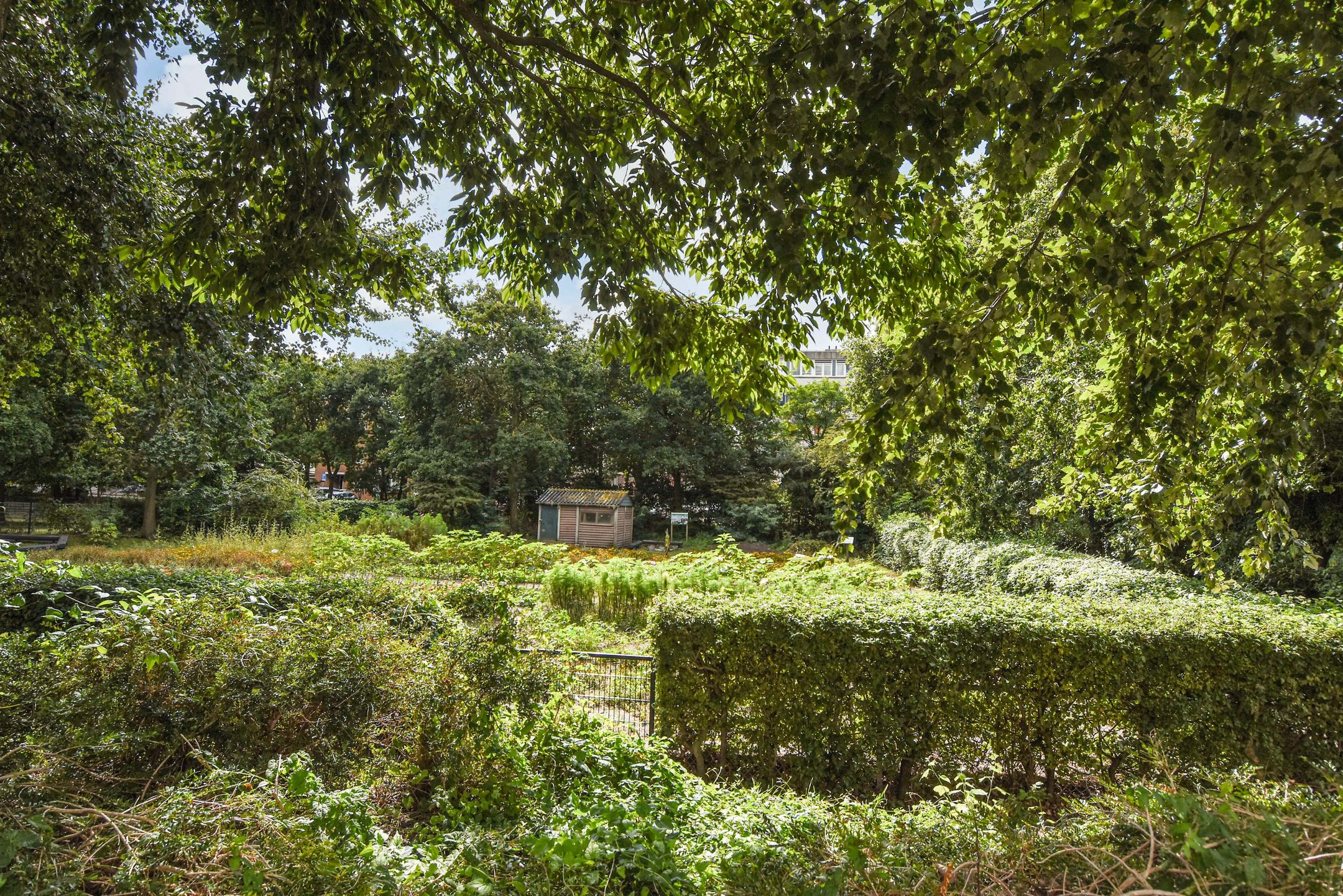 Foto 48 van Havenkade 31