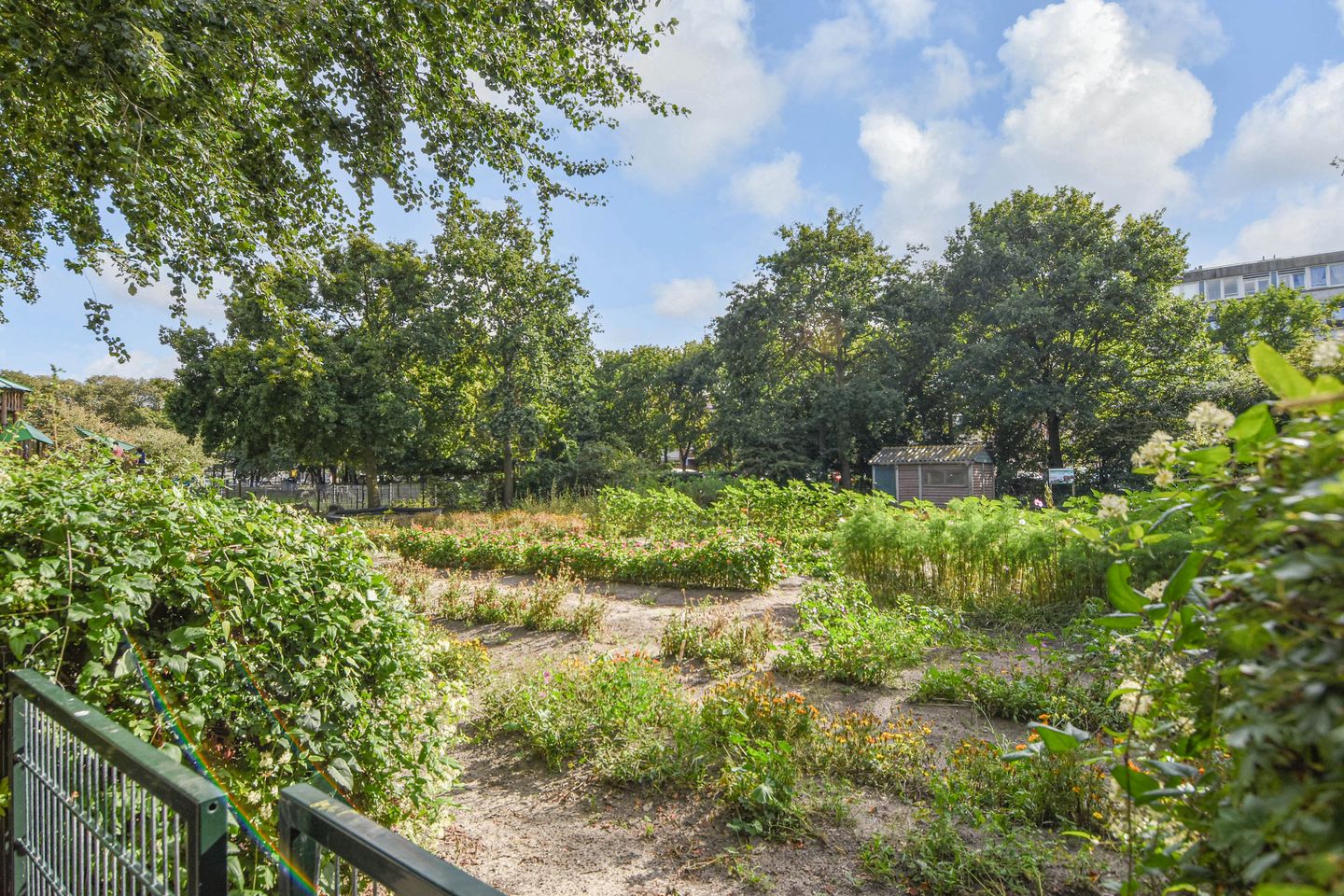 Foto 49 van Havenkade 31