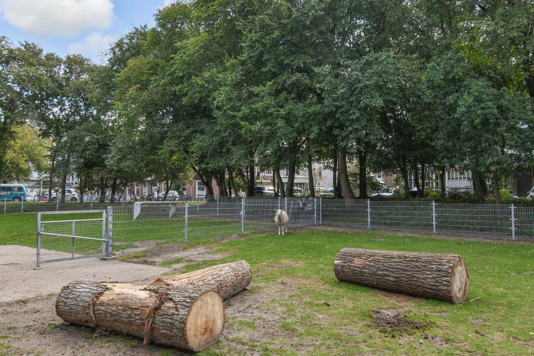 Foto 53 van Havenkade 31