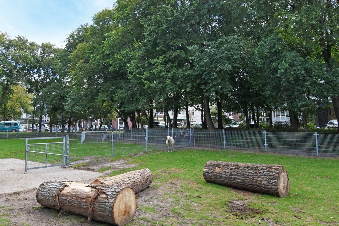 Foto 58 van Havenkade 31