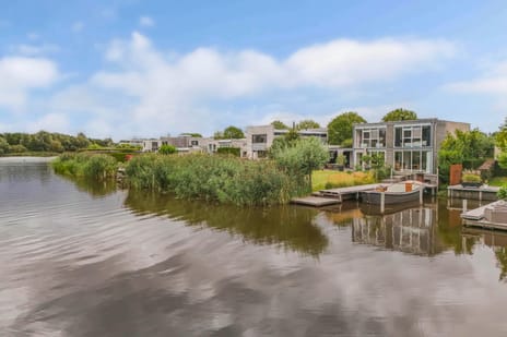 Broekfinne 38 tertiary image