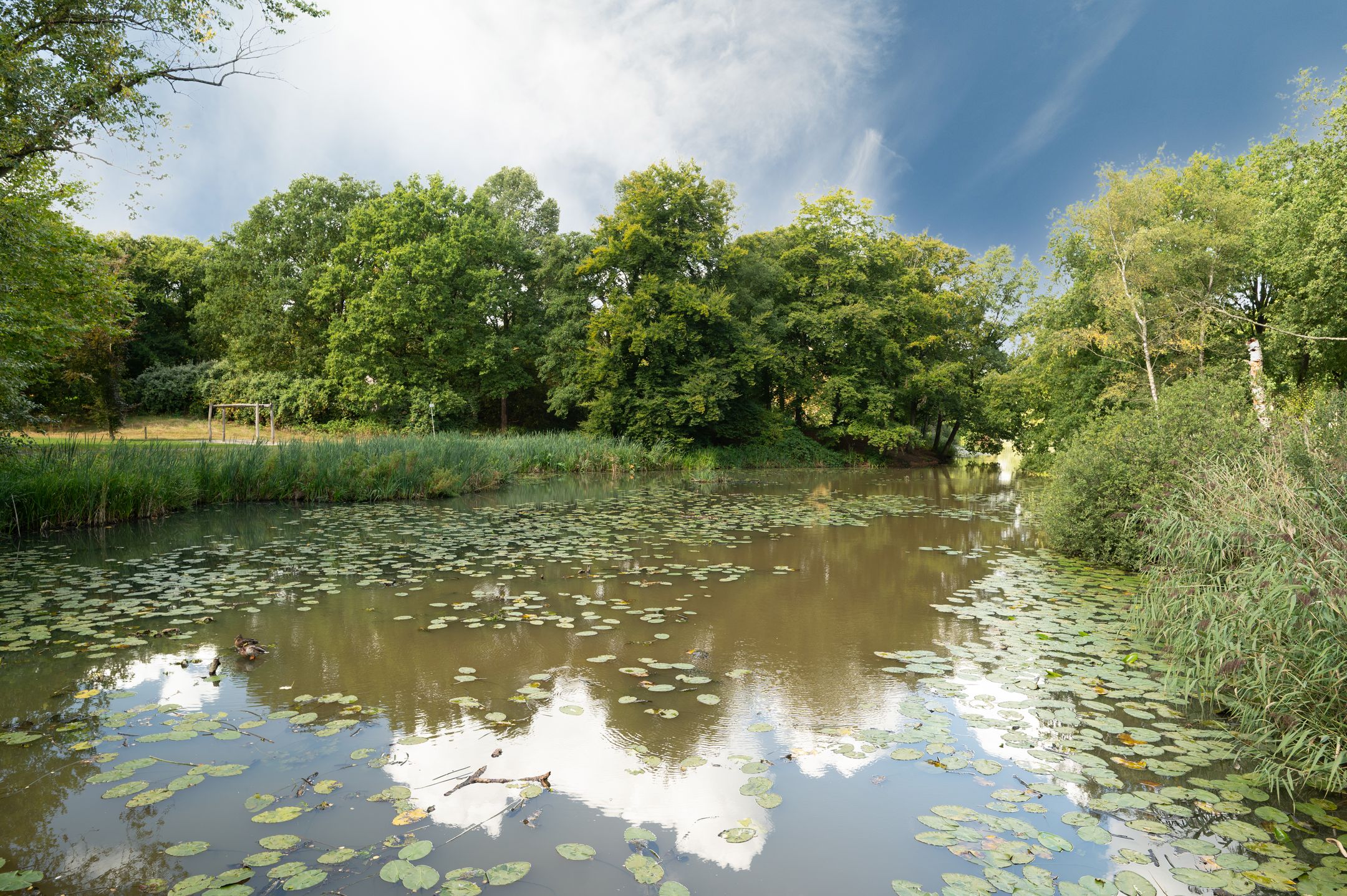 Foto 30 van Socratesstraat 216