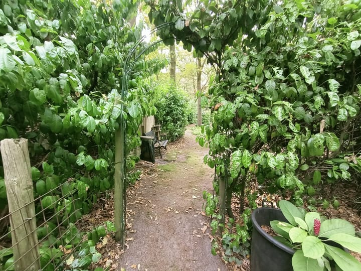 Foto 4 van Oude Rielsebaan 187