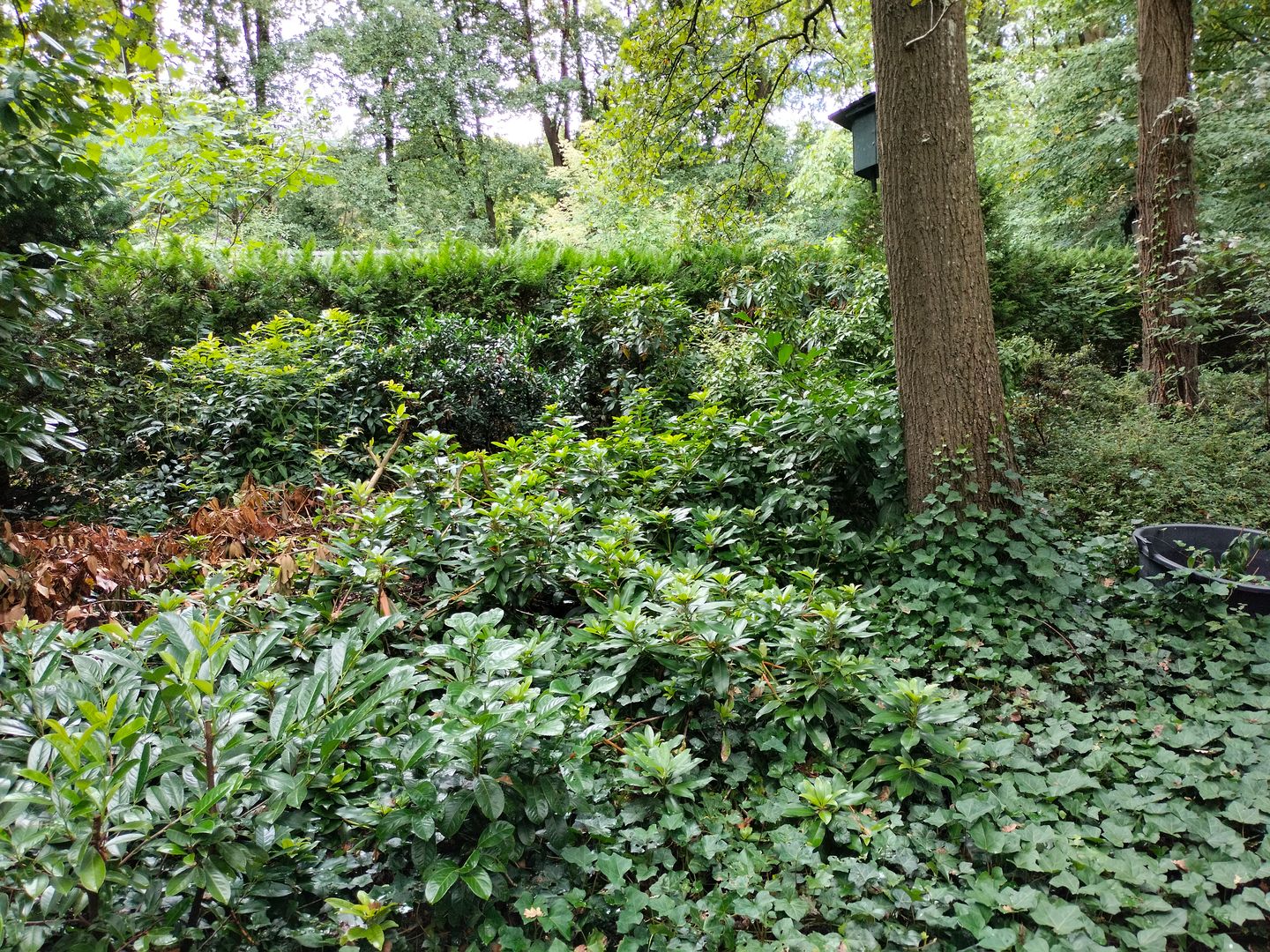 Foto 10 van Oude Rielsebaan 187