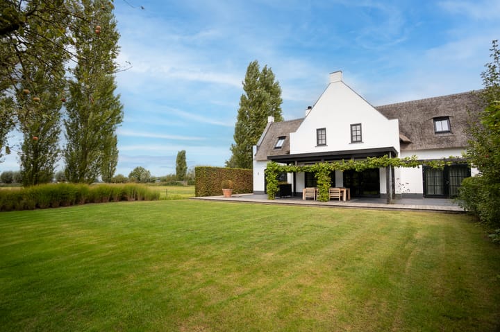 Photo 10 of Molenstraat 6