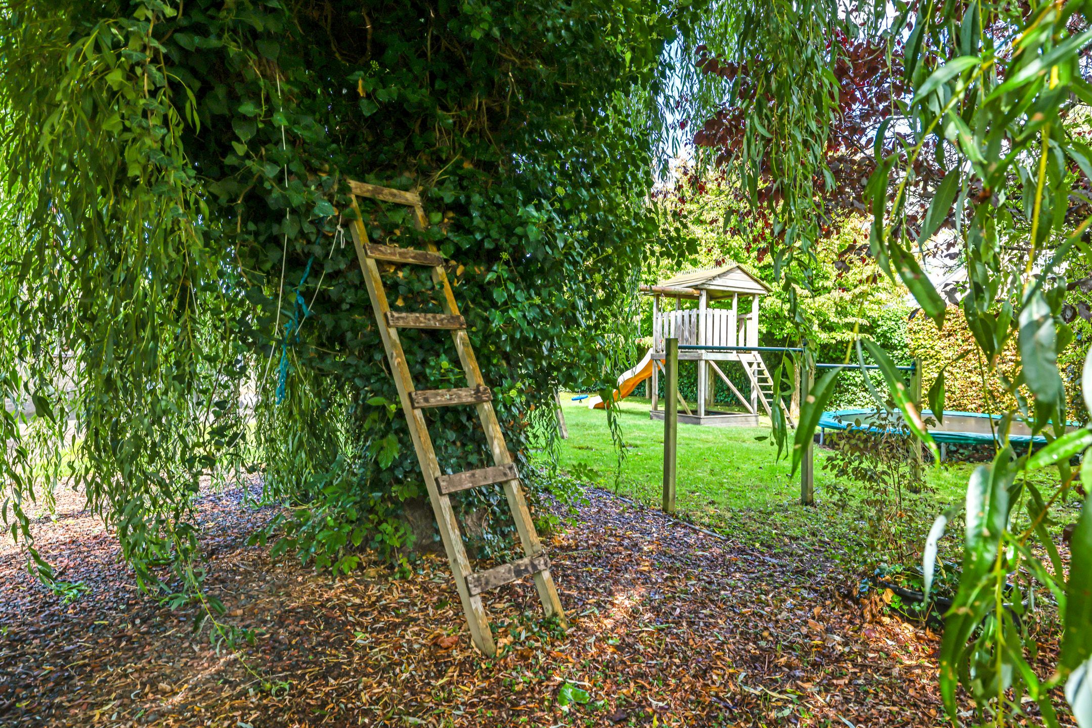 Foto 84 van Steenbeekstraat 31