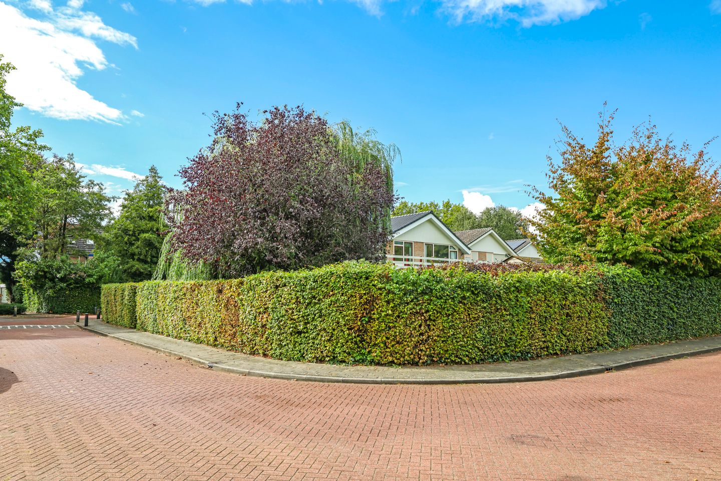 Foto 95 van Steenbeekstraat 31