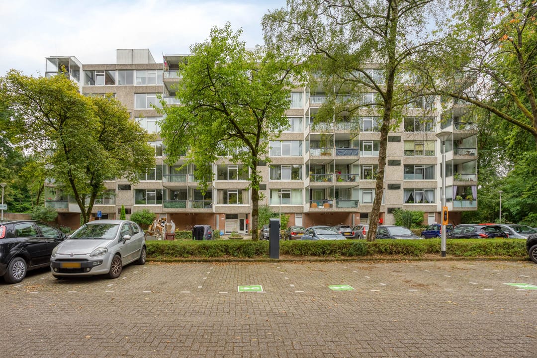 Photo 26 of Rolandseck 40