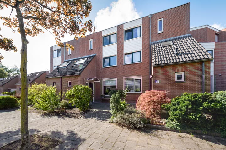 Sonderholm 11