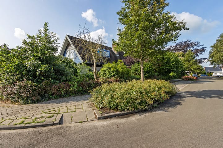 Foto 51 van Meerkoetweg 29