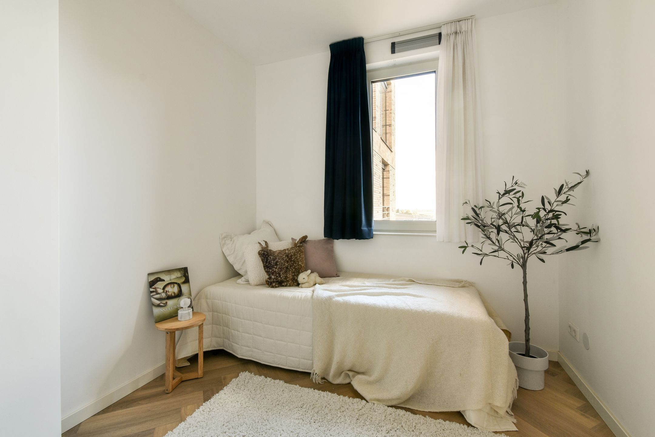 Photo 15 of Faas Wilkesstraat 257