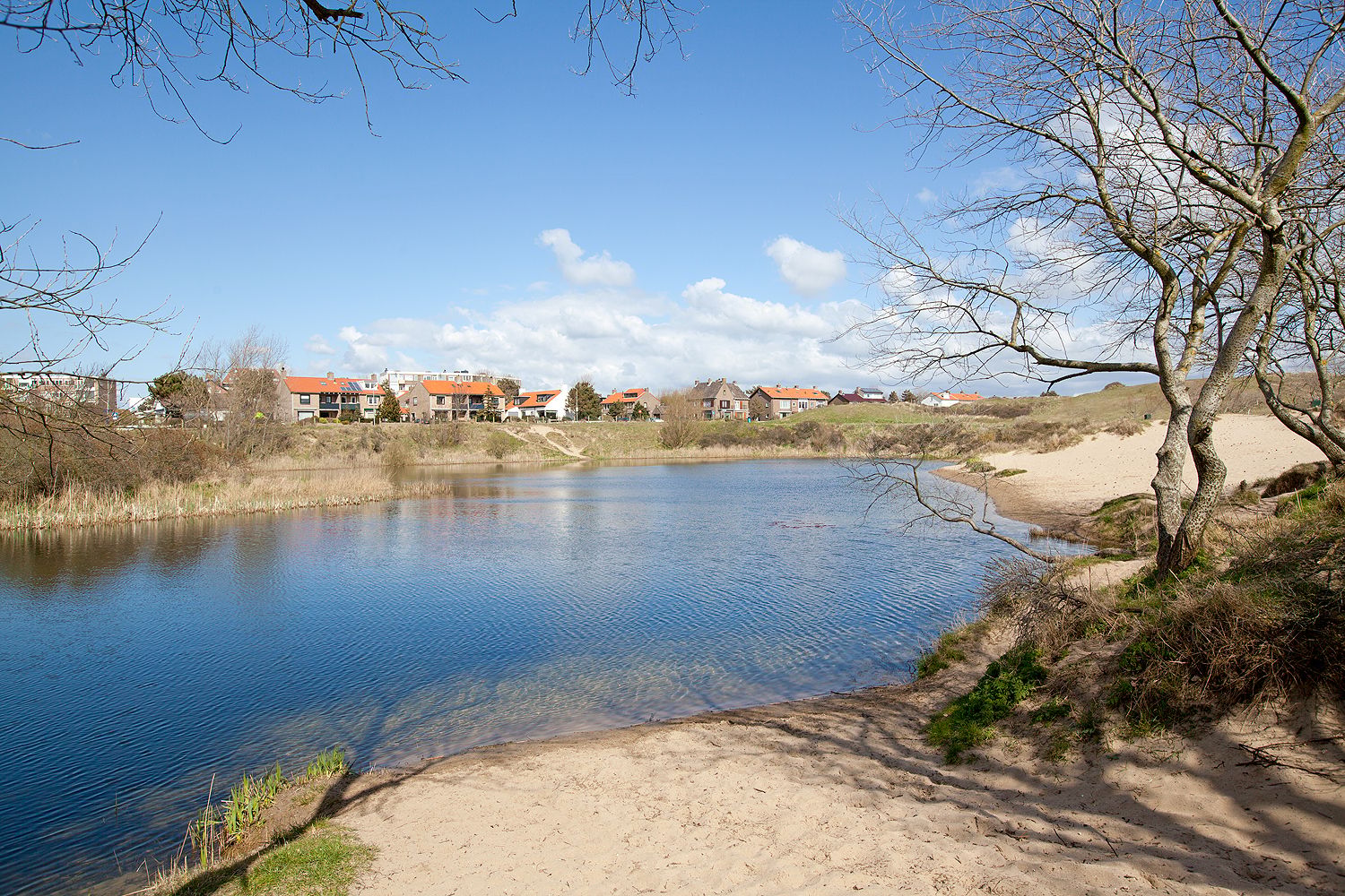Photo 36 of Prinsesseweg 4-D2