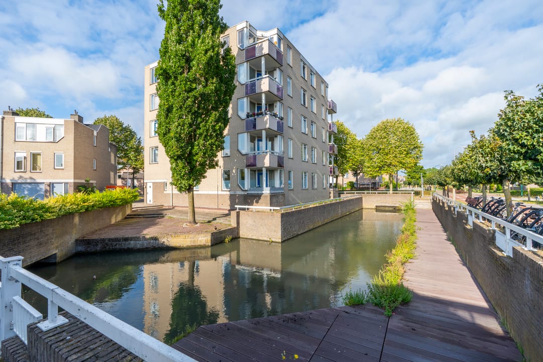 Foto 1 van de Biezen 42