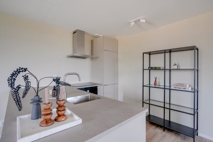 Foto 3 van de Biezen 42