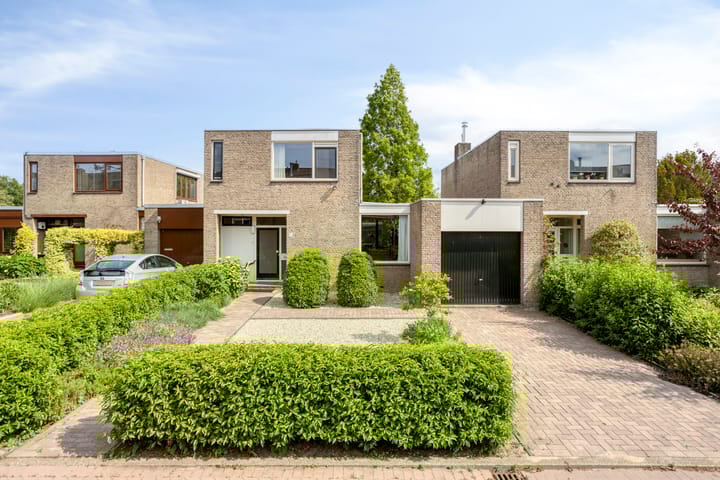 Boksdoorn 6 main image